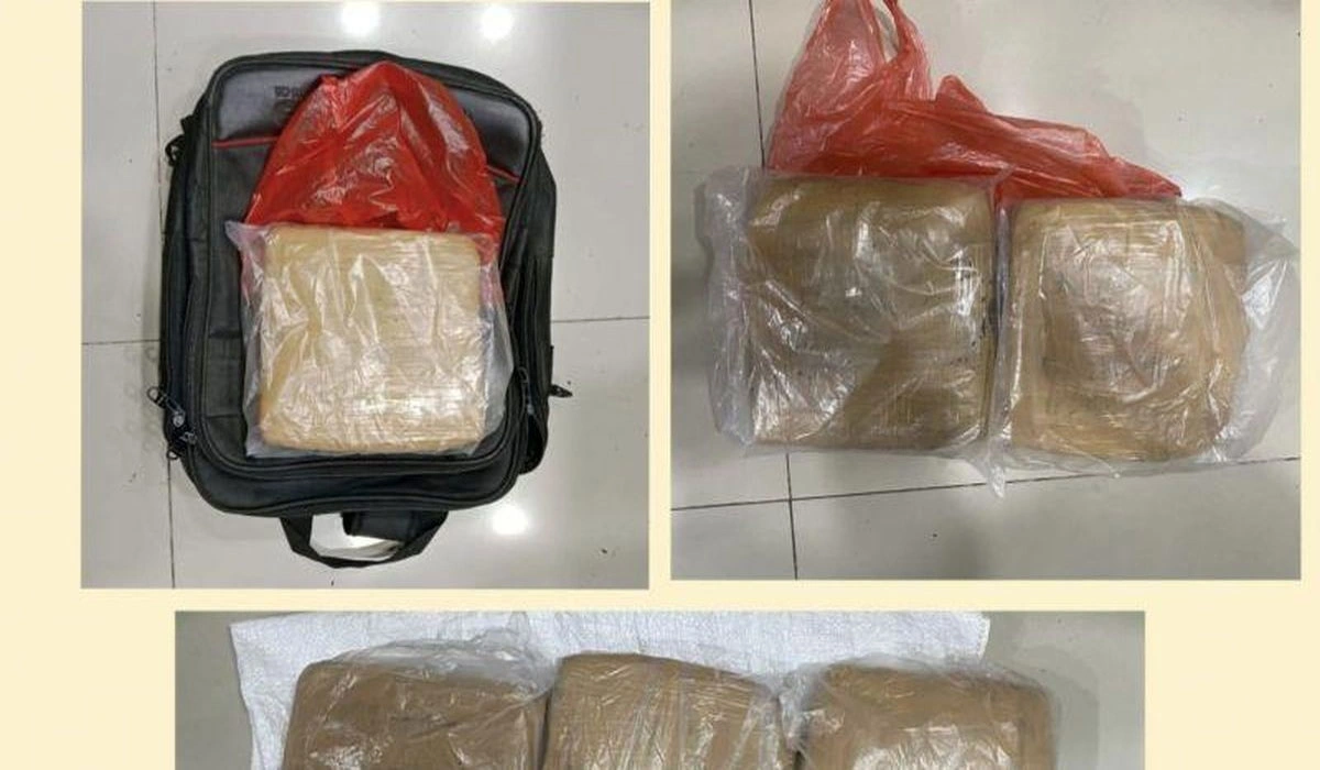 Pelanggaran Hukum Kasus Narkoba