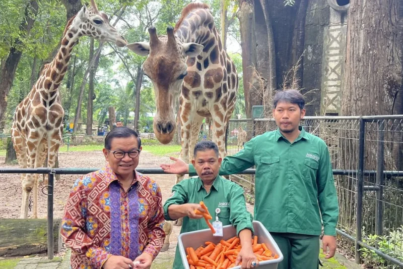 Pramono Ungkap 17 Spesies Ikonik yang Jadi Simbol Keanekaragaman Jakarta