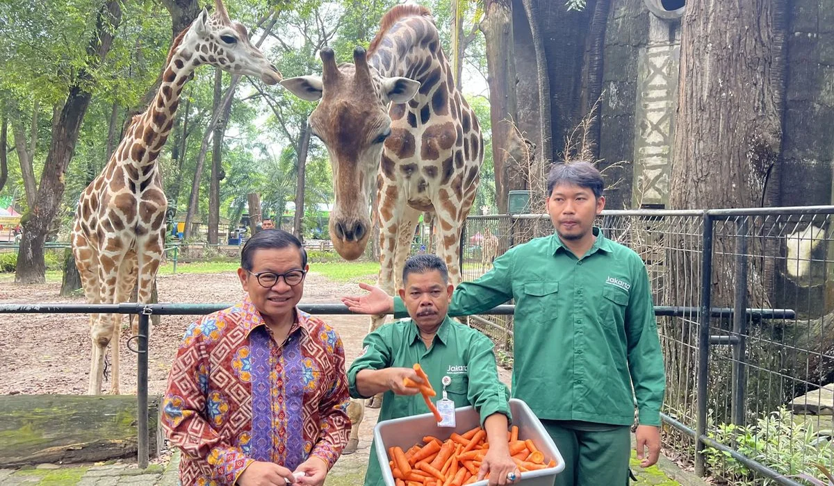 Pramono-Ungkap-17-Spesies-Ikonik-yang-Jadi-Simbol-Keanekaragaman-Jakarta