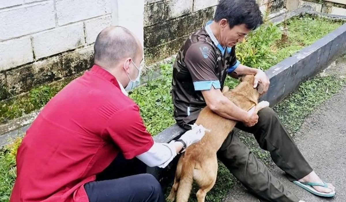 DKI-Tetap-Waspada,-Surveilans-HPR-Berlanjut-Meski-Bebas-Rabies