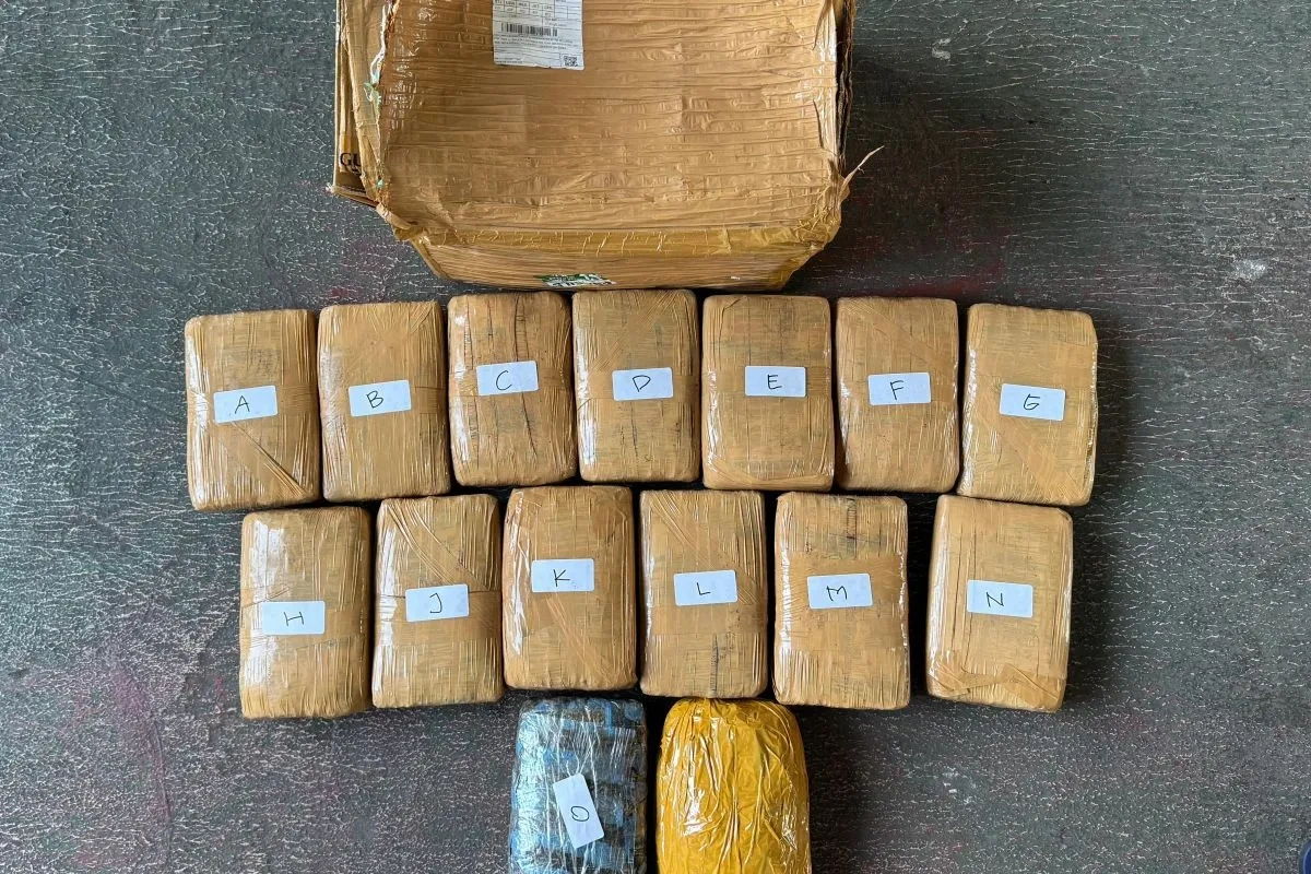 Polda-Metro-Jaya-dan-Bea-Cukai-Bongkar-Peredaran-15-Kg-Ganja