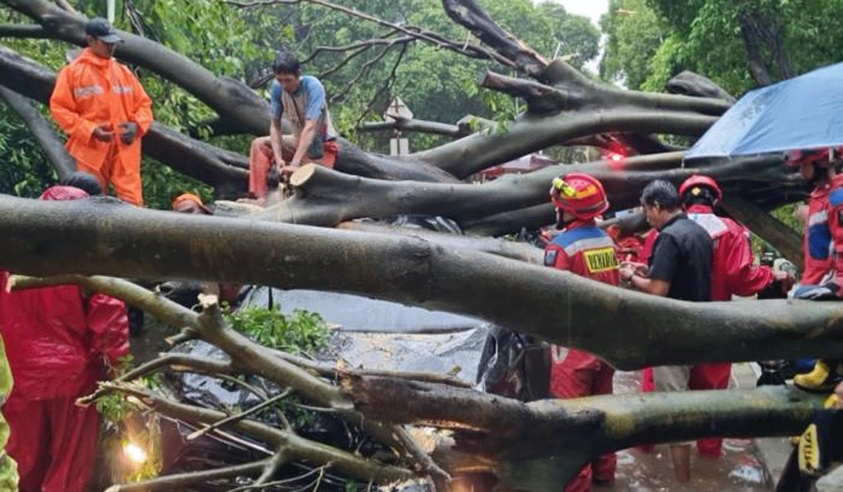 Tragedi Di Dharmawangsa, Pohon Tumbang Renggut Nyawa Dan Rusak Kendaraan