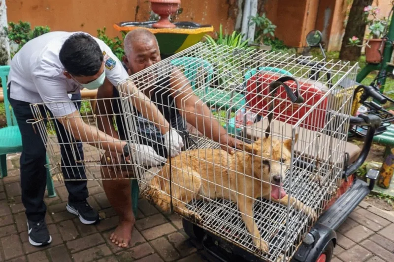 DPRD DKI Dukung Pergub Larangan Konsumsi Daging Anjing