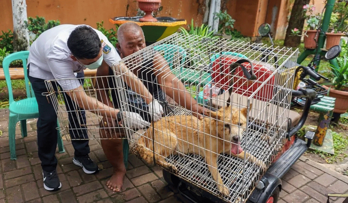 DPRD-DKI-Dukung-Pergub-Larangan-Konsumsi-Daging-Anjing