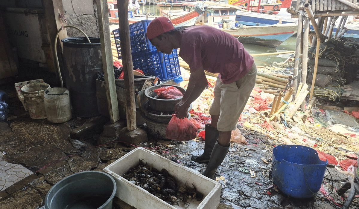 Aspirasi Nelayan dan Langkah Penanganan Berkelanjutan di Teluk